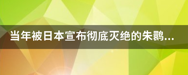 当年被日本宣布彻底灭绝的朱鹮，为什么引入中国后就超过了1700只？